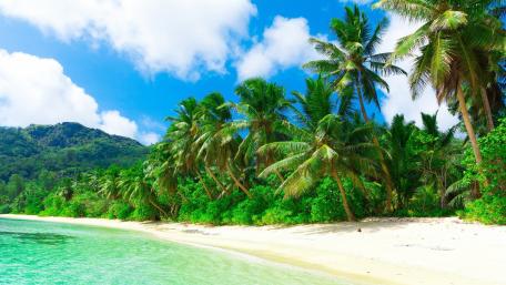 Tropical Beach Serenity wallpaper