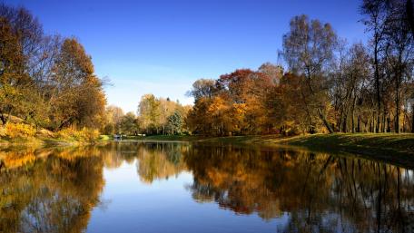 Autumn Serenity in Nature's Reflection wallpaper