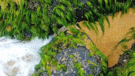 Beach stones - Samsung s8 photo wallpaper
