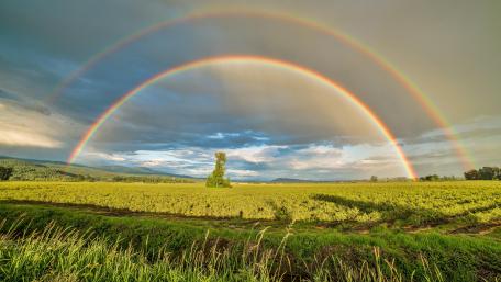 Double rainbow wallpaper