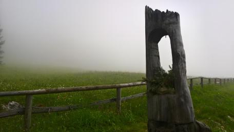 Morning fog wallpaper