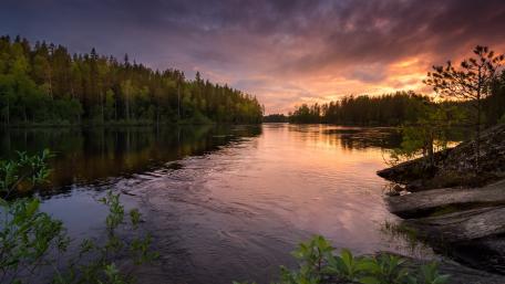 Serene Wilderness Evening Over the River wallpaper
