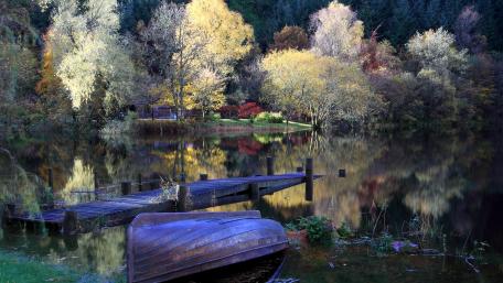 Autumn Serenity by the Waterway wallpaper
