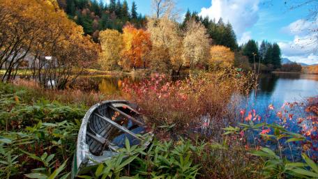Sinking boat wallpaper