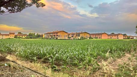Serene Countryside View of Vibrant Homes Amidst Lush Fields wallpaper