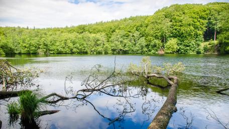 Jasmund National Park (Germany) wallpaper