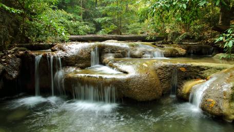 Majestic Forest Waterfall in Lush Greenery wallpaper