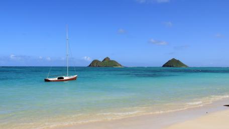 Serene Tropical Escape by the Ocean wallpaper
