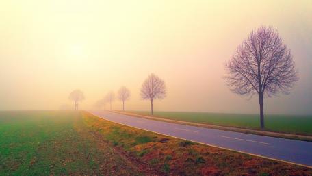 Foggy road wallpaper