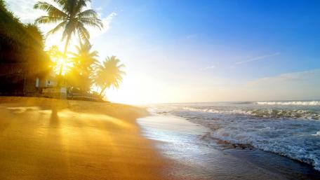 Tropical summer sunrise wallpaper
