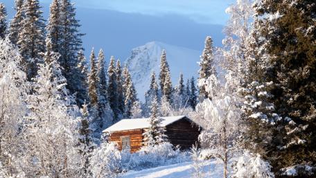 Cozy Cabin in a Winter Wonderland wallpaper