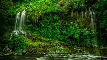 Serene Waterfall in Lush Jungle wallpaper