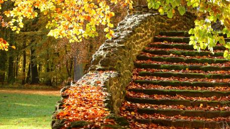Ludwigslust Castle grotto wallpaper