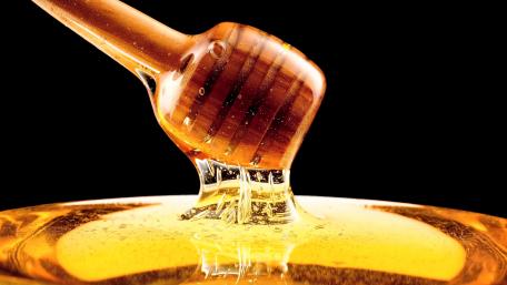 Honey wallpaper