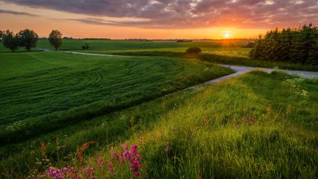 Beautiful Sunrise Over Serene Meadow Landscape wallpaper