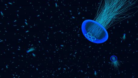 Jellyfish abstract wallpaper