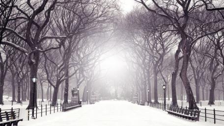 The Mall and Literary Walk in winter wallpaper
