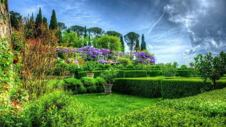 Lush Botanical Paradise in Bloom wallpaper