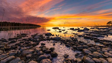 Stunning sunset wallpaper