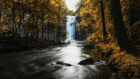 Foster Falls (Sequatchie,Tennessee) wallpaper