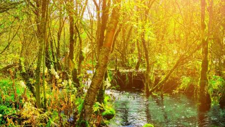 Jiuzhaigou at spring wallpaper