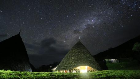 Starry night wallpaper