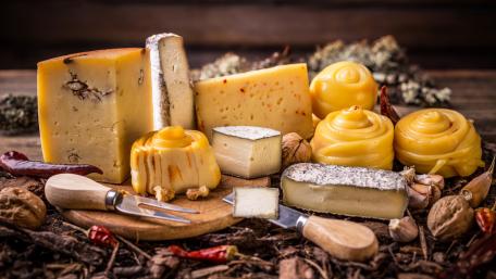 Cheese plate wallpaper