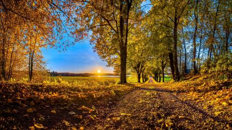 Dirty road in the autumn sunrise wallpaper