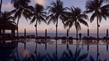 Palm trees over the pool wallpaper