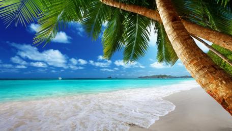 Tropical beach wallpaper