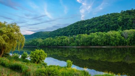 Serene River Reflection in Lush Greenery wallpaper
