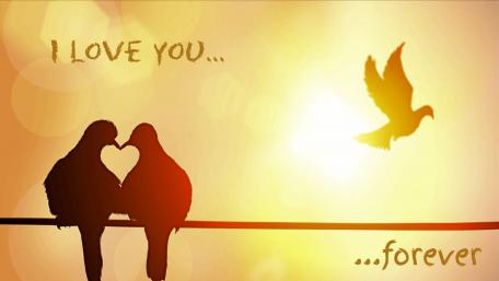 Love wallpaper