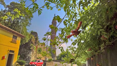 Charming Cityscape with Historic Architecture and Lush Greenery wallpaper