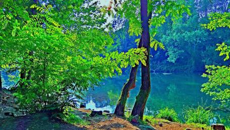 Tranquil Riverside Oasis wallpaper