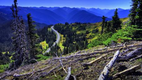 Hurricane Ridge (Olympic National Park) wallpaper