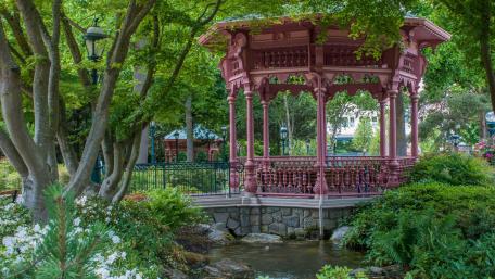Beautiful park wallpaper