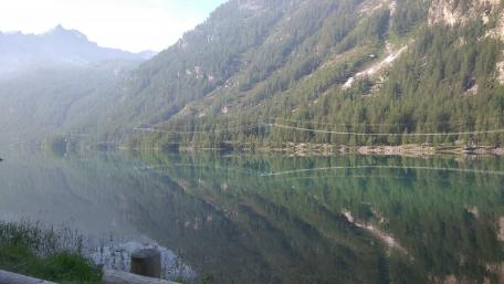 Reflected in the lake wallpaper