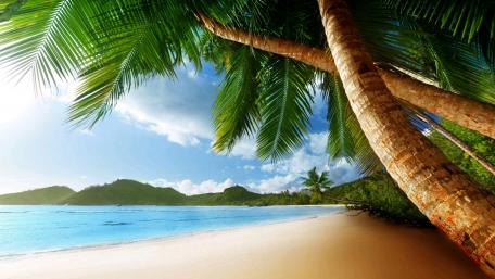 Exotic beach wallpaper