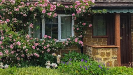 Backyard painting wallpaper
