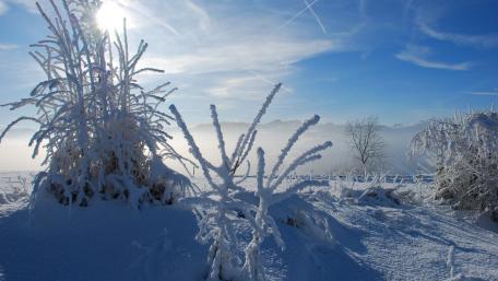 Wintertime wallpaper
