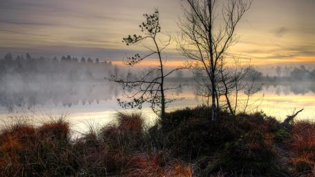 Foggy winter morning wallpaper