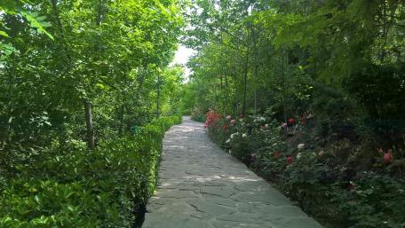 Garden path wallpaper
