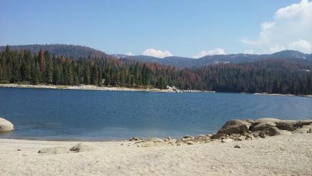 Shaver Lake in the Summer wallpaper