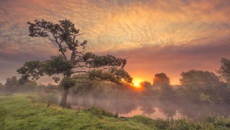 River bank at sunset wallpaper