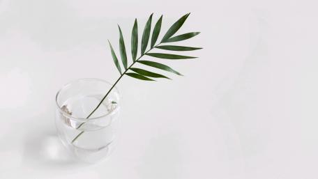 Tree leaf in a glass wallpaper