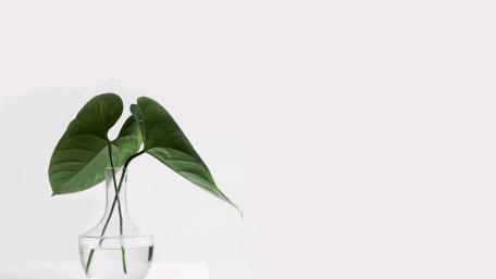 Leaves in a vase wallpaper