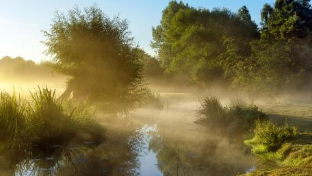 Foggy nature ladscape wallpaper
