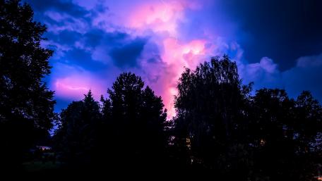Colorful sky above the trees wallpaper