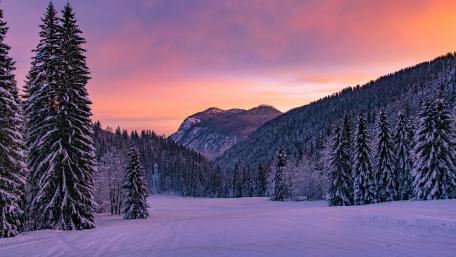 Purple winter sky and landscape wallpaper