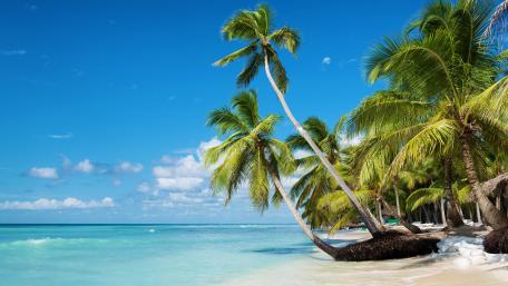 Saona Island wallpaper
